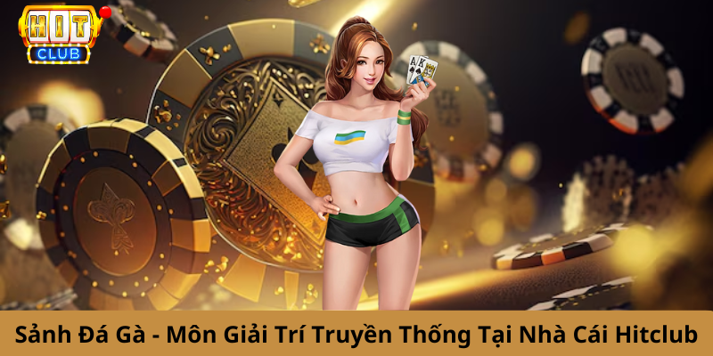 Sảnh Đá Gà Hitclub - Môn Giải Trí Truyền Thống Với Trải Nghiệm Hiện Đại